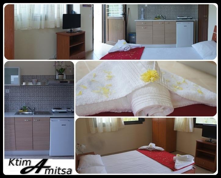 Ktima Amitsa Studios & Apartments Sarti Esterno foto