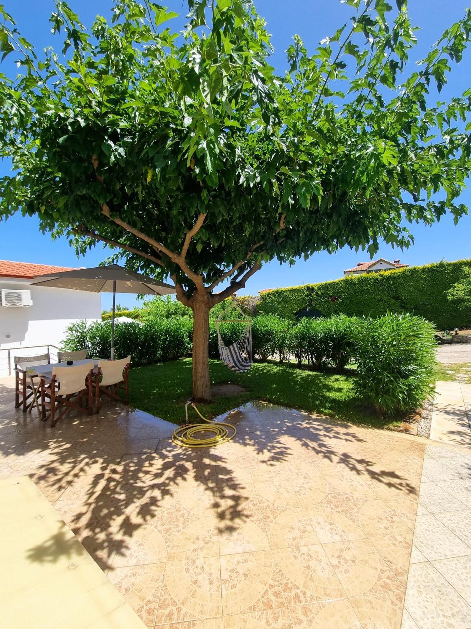 Ktima Amitsa Studios & Apartments Sarti Esterno foto